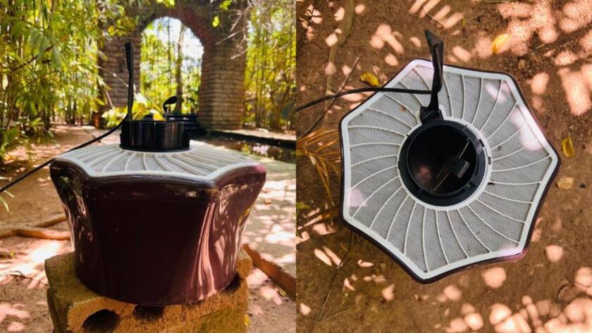 Nature-Friendly Mosquito Control for Safer, Greener Stays