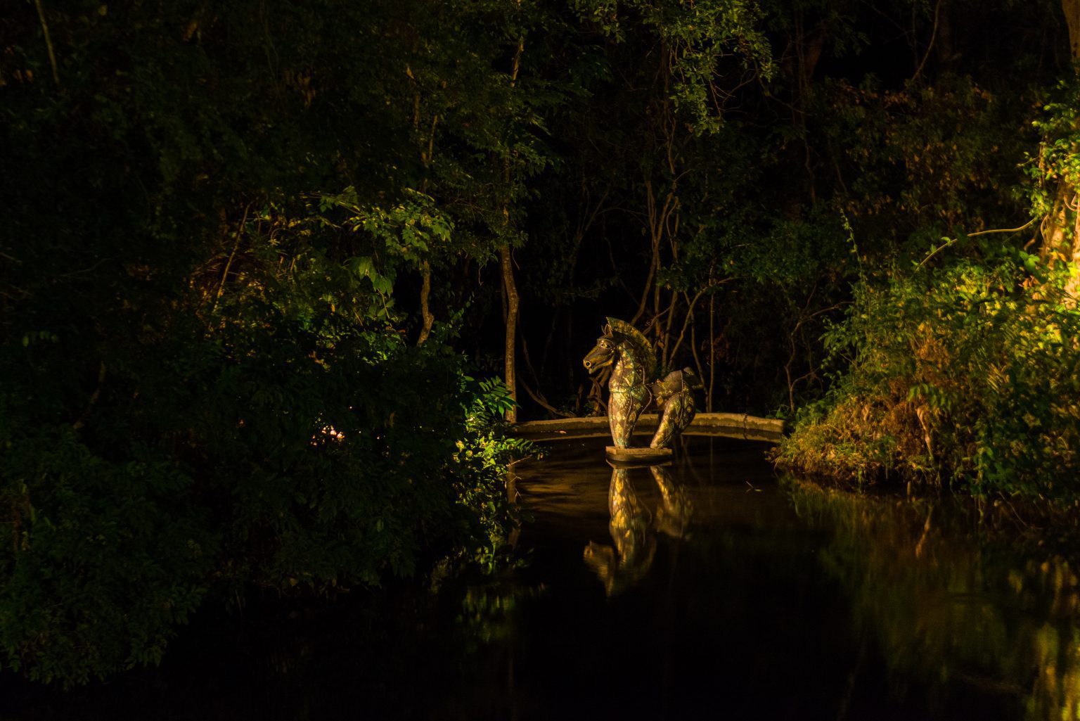 Horse sculpture located in the art and nature forest at Diyabubula. This image taken at the night has captured the water, greenery of the forest and the beautiful golden sculpture