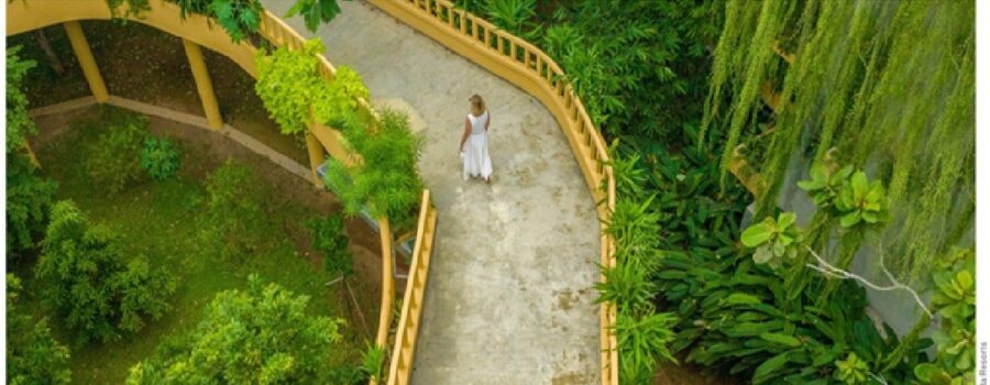 falstaff TRAVEL – Wie Lauft Eine Ayurveda – Kur in Sri Lanka Wirklichab?