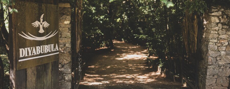 Diyabubula Reopens: A Living Forest of Art, Silence, and Soul