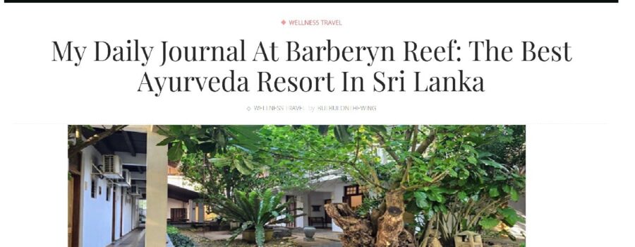 BULBULONTHEWING : My Daily Journal at Barberyn Reef: the Best Ayurveda Resort in Sri Lanka by Anukrati